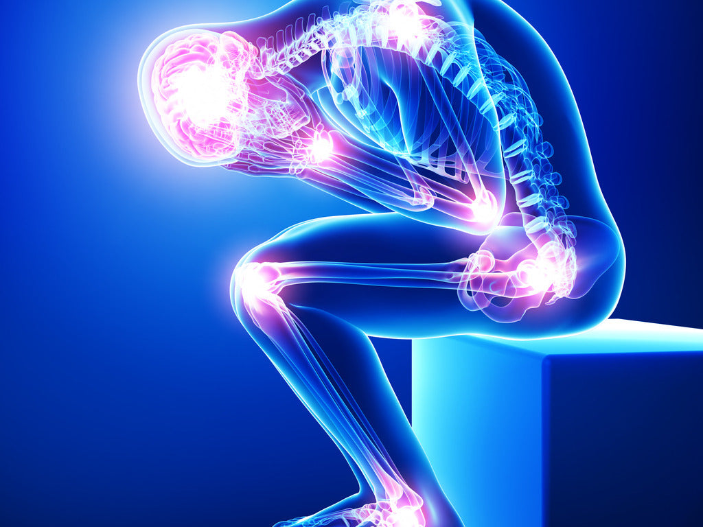 inflammation in the body