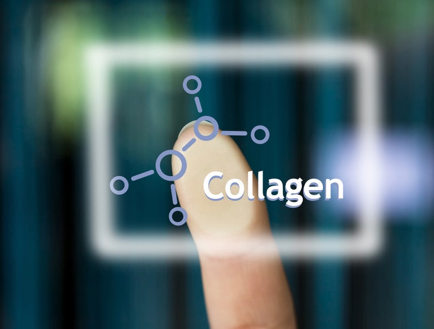 What is the Difference Between Types 1, 2 and 3 Collagen?