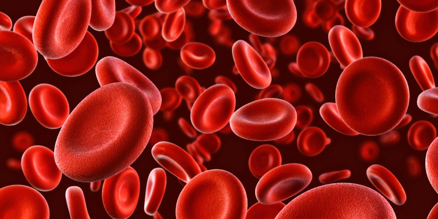 Iron Is A Critical Part of Healthy Blood