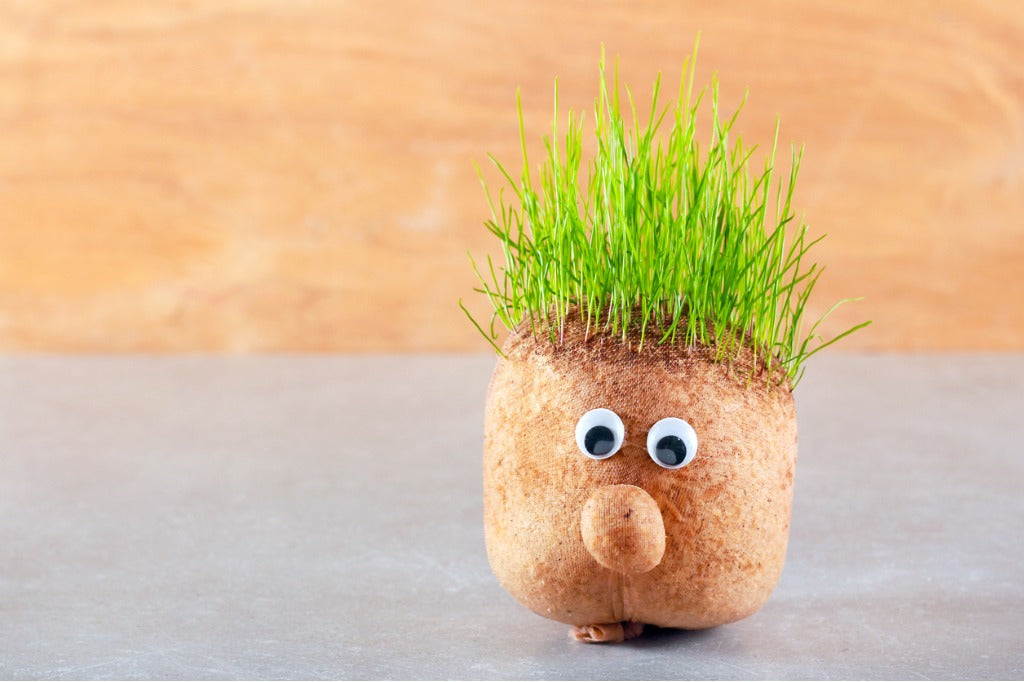 Why isn't my hair growing